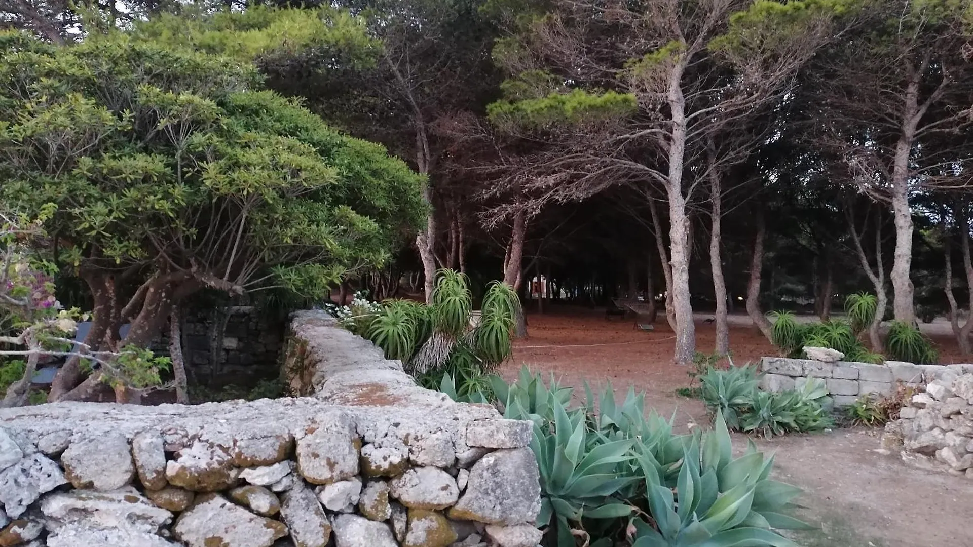 Villa La Pineta Favignana Italy